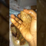 Rice Made From Plastic: Real Or Myth?